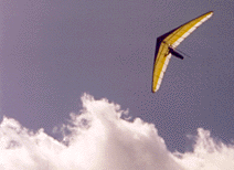 Glider picture